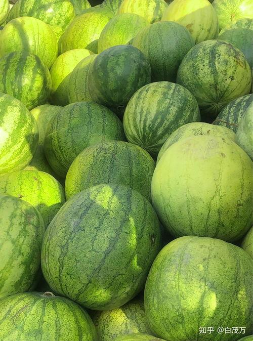 喜提吃瓜,揭秘娱乐圈幕后故事