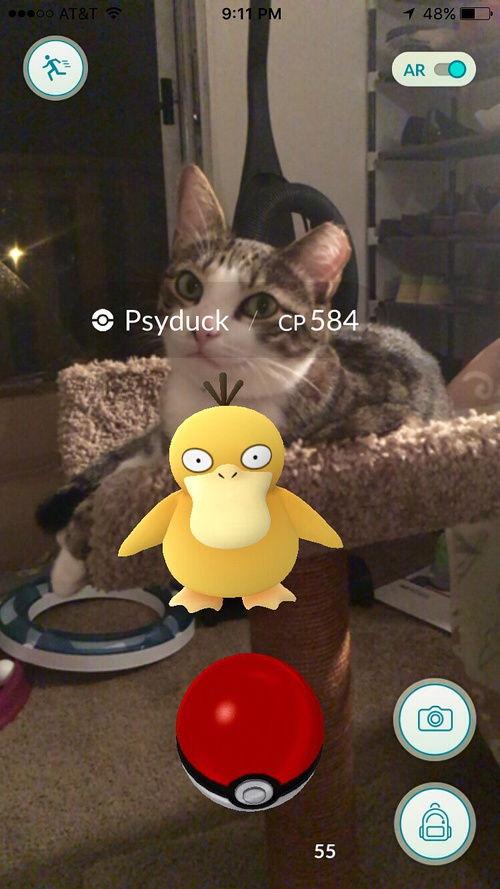 兄弟吃瓜日常,笑谈人间百态