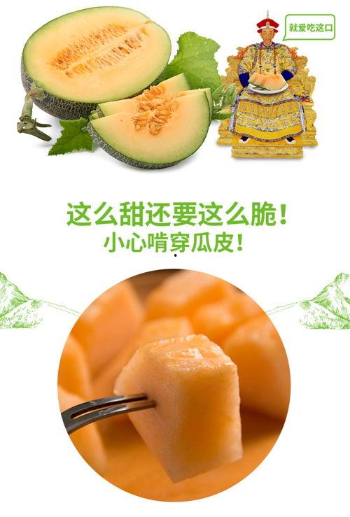 吃瓜什么网站推荐最好,畅享娱乐资讯的绝佳选择