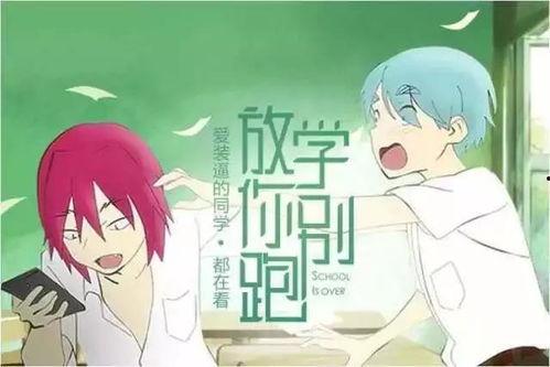 绝望吃瓜后续故事,揭开真相背后的惊心动魄