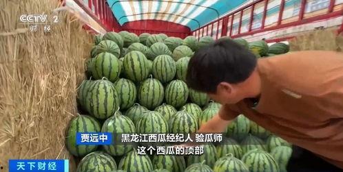 雪圈大型吃瓜,大型吃瓜现场，揭秘幕后风云