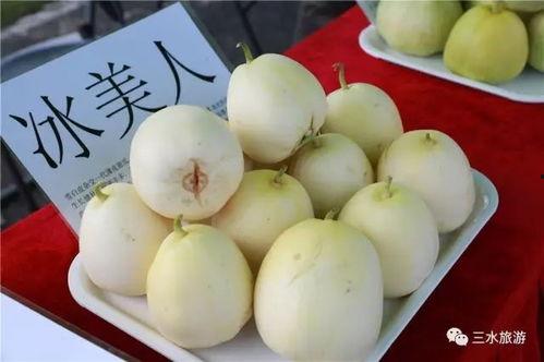 巴乐瓜怎么吃,解锁美味新体验