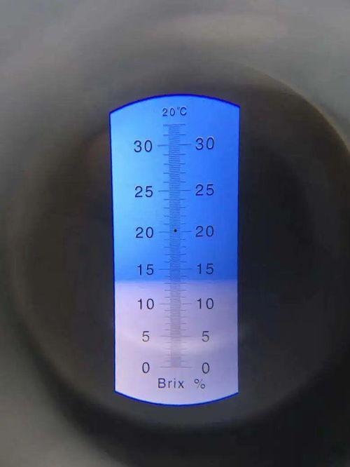 吃瓜尺子,吃瓜尺子带你领略明星幕后真相