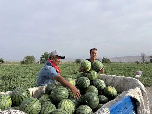 李冰吃瓜,揭秘娱乐圈幕后故事