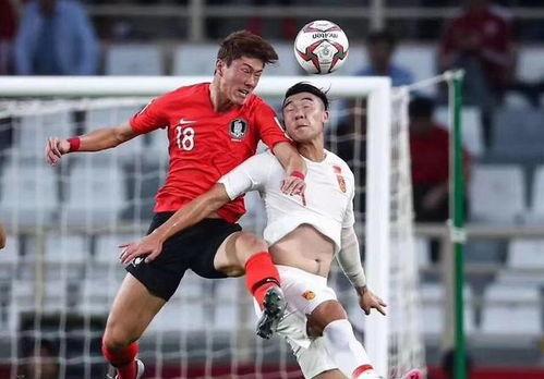 辽宁球员吃瓜事件,球场风波背后的瓜田疑云