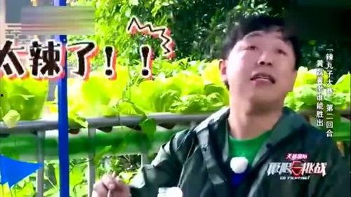 吃瓜黄先生,网络红人的崛起与争议