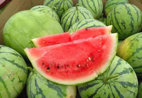 木棉吃瓜24集,揭秘剧情高潮与情感纠葛