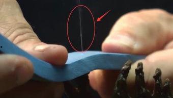 吃瓜小能手打人