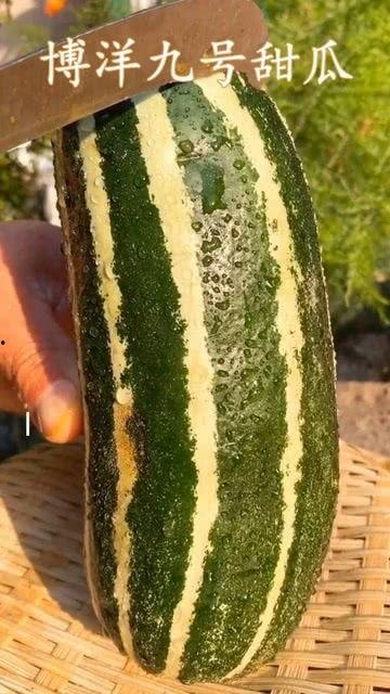 吃瓜的没有嫌瓜甜的,无怨瓜甜，共享欢乐时光