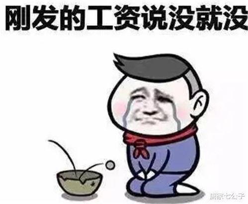 吃瓜现象的启示,从网络现象看社会洞察与自我反思