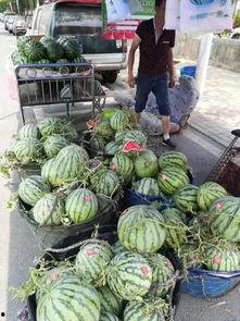 绵阳三台吃瓜事件,一场引发热议的网络狂欢