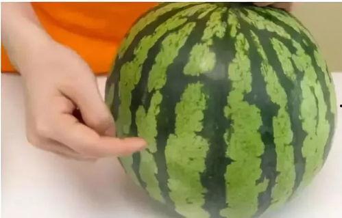 吃不够的瓜,吃不够的瓜，尽享夏日美味时光