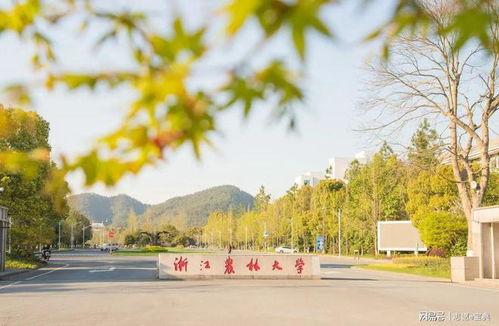 浙江农林大学 吃瓜,揭秘校园里的“吃瓜”文化现象