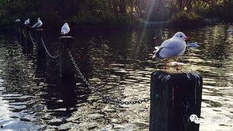 吃瓜逃离大英,一场穿越时空的奇幻之旅