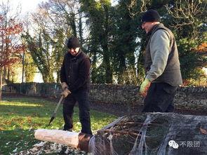 吃瓜逃离大英,一场穿越时空的奇幻之旅