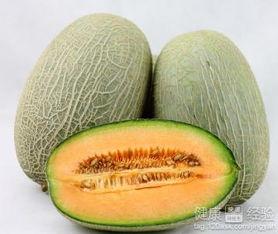 来了可以吃哈密瓜吗,快来品尝美味的哈密瓜！