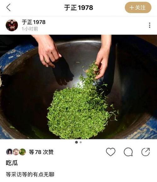 绿茶同事吃瓜,揭秘职场八卦背后的真相