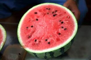 吃瓜粉质量,探寻优质吃瓜粉的奥秘