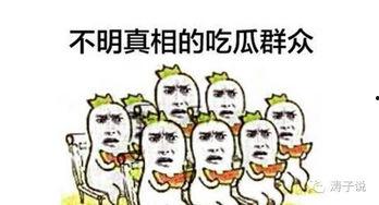 网文吃瓜群众,揭秘网络文学背后的趣味与争议